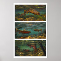 Trout