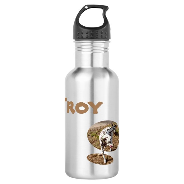 Troy Name With Dalmatian, Water Bottle (Front)