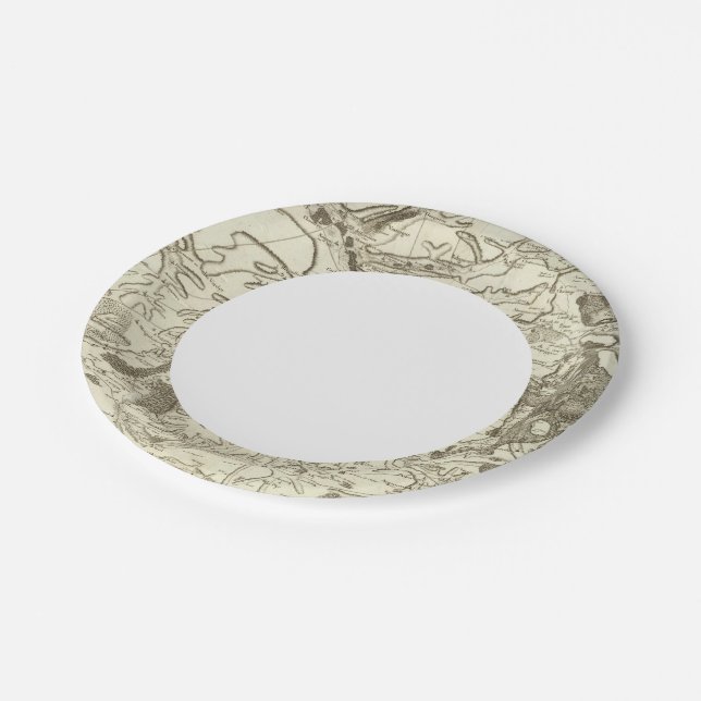 Troyes Paper Plate (Angled)