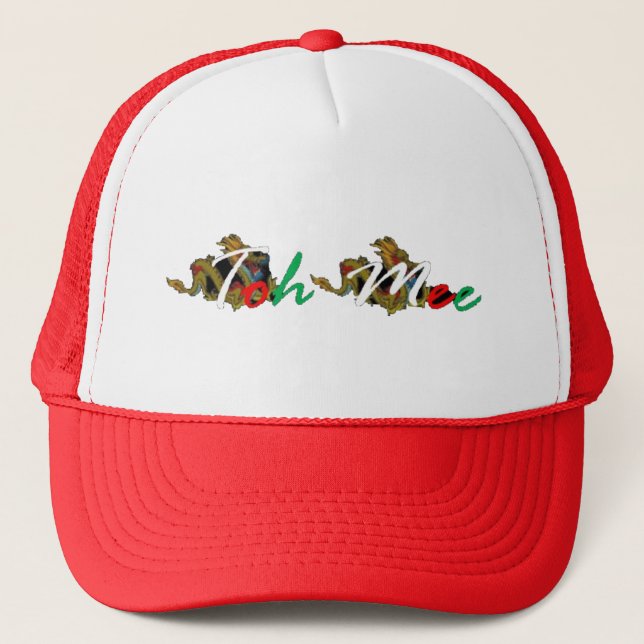 Trucker Hat (Front)