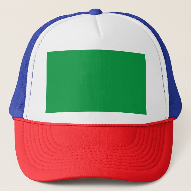 Trucker Hat (Front)