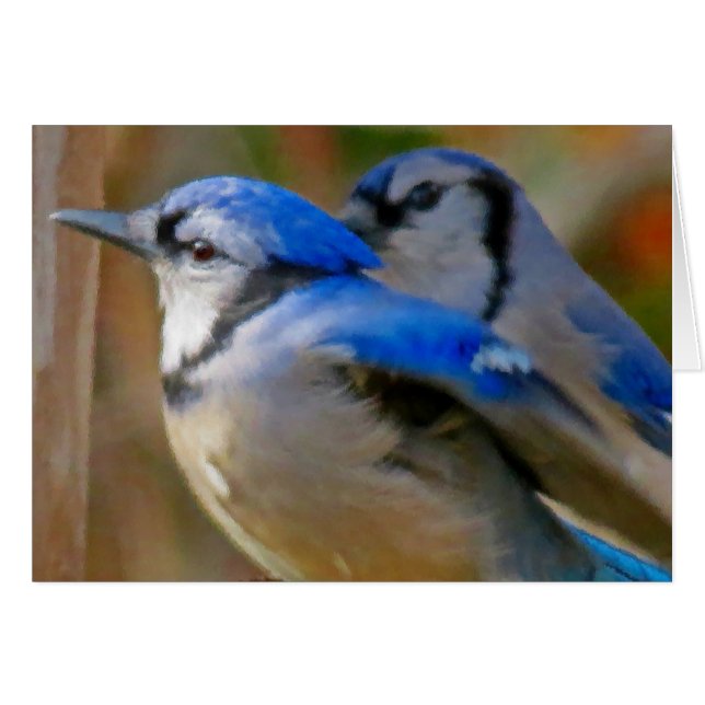 True Blue - Birds (Front Horizontal)
