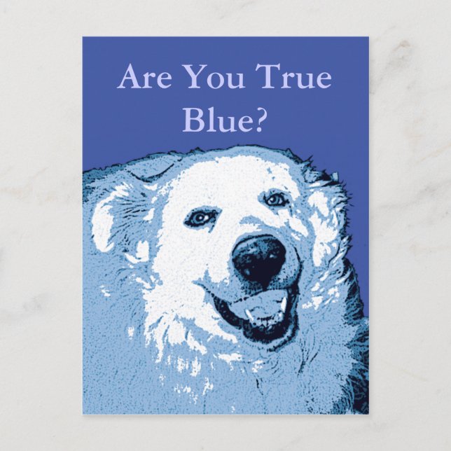 True Blue Dog Democrat postcard (Front)