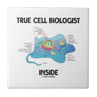 True Cell Biologist Inside (Eukaryote)