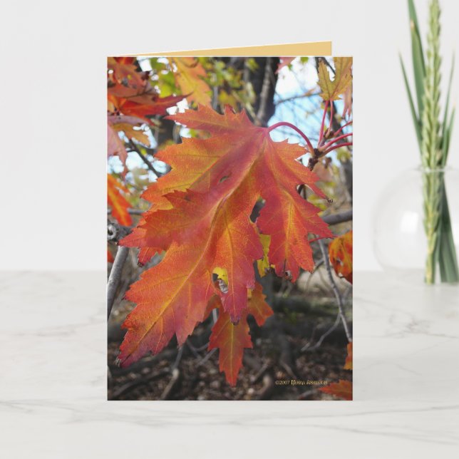 True Colours Card (Front)