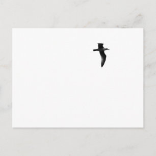 True Freedom Postcard