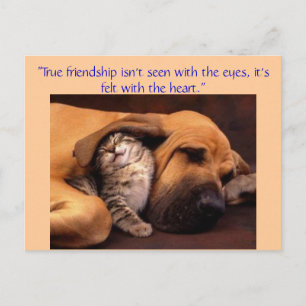 "True friendship ... Postcard