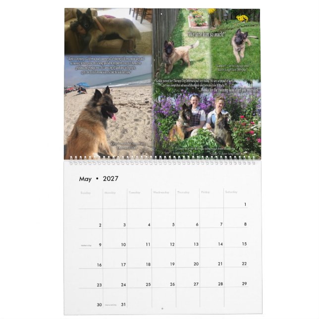 True Knight Tervuren Puppy Review Calendar 1 (May 2027)