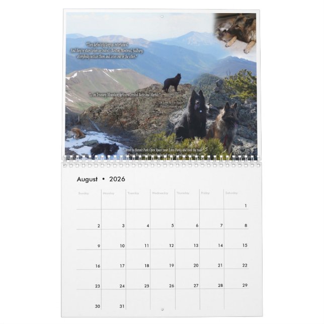 True Knight Tervurens puppy reviews calendar (Aug 2026)