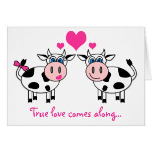 True love comes along... Happy cows Card