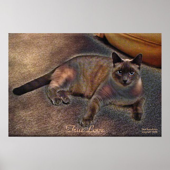 TRUE LOVE Kitty Art Poster (Front)
