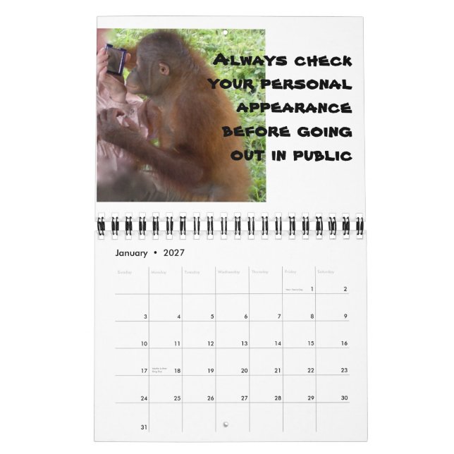 True Love Romance Advice Calendar (Jan 2027)