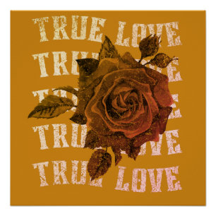 True Love Rose Romantic Valentine's Day B&W Poster