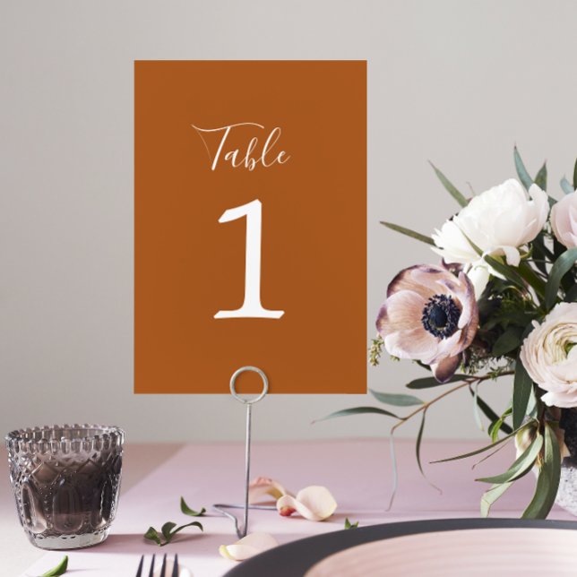 True Simplicity 1 Wedding Terracotta Table Number (Creator Uploaded)