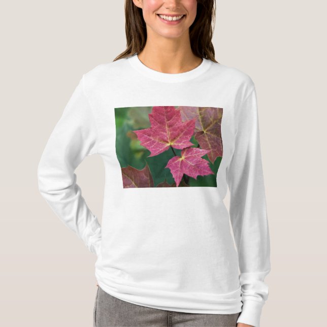 true to you T-Shirt (Front)