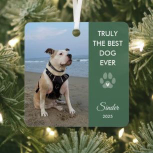 Truly The Best Dog Ever Photo Paw Print Keepsake Metal Tree Decoration