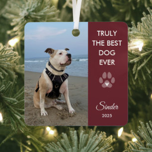 Truly The Best Dog Ever Photo Paw Print Keepsake Metal Tree Decoration
