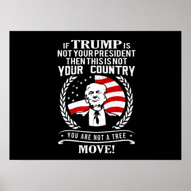 Trump 2020 Funny Quote Poster (Front)