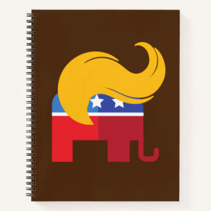 Trump 2024 Presidential Election  Notebook