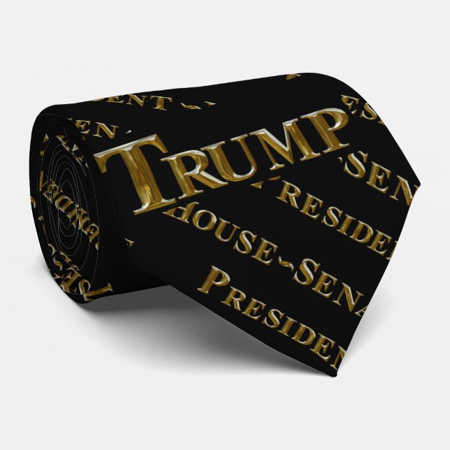 TRUMP 2024 TIE (Rolled)