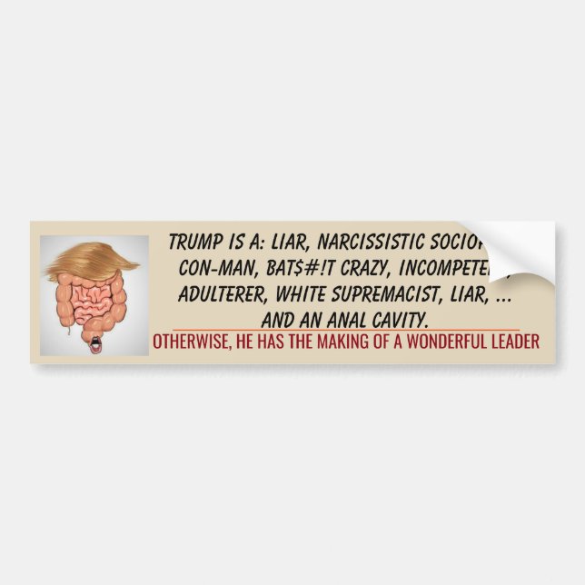Trump Anal Cavity TUCK FRUMP 2020 Biden Bumper Sticker (Front)