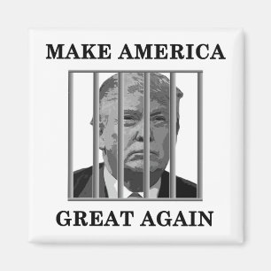 Trump Behind Bars Magnet