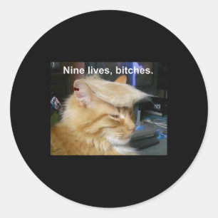 Trump Cat Nine Lives Funny Trump 2024 Vote Electio Classic Round Sticker