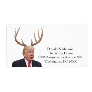 Trump Christmas: Deer Mr. President