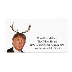 Trump Christmas: Deer Mr. President