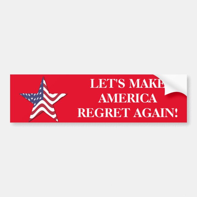 TRUMP CLINTON  BUMPER STICKER (Front)