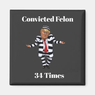Trump Convicted Felon Magnet