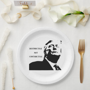 Trump/Destructive Not Constructive Paper Plate