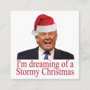 Trump, Dreaming of a Stormy Christmas Enclosure Card