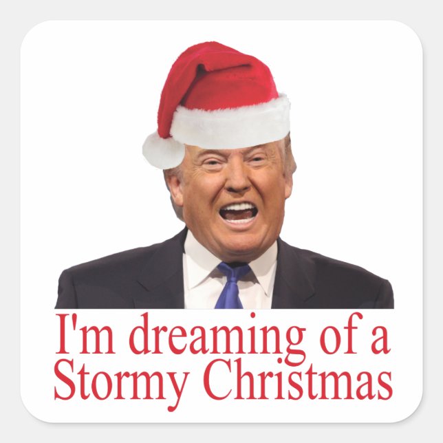 Trump, Dreaming of a Stormy Christmas Square Sticker (Front)