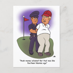 Trump Felonies Postcard