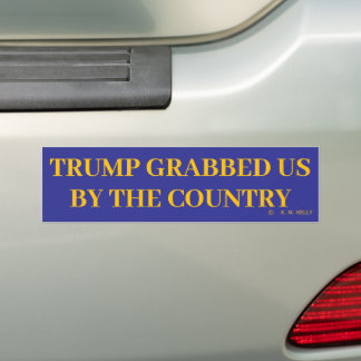 TRUMP, GRABBED US BY THE COUNTRY -  BUMPER STICKER
