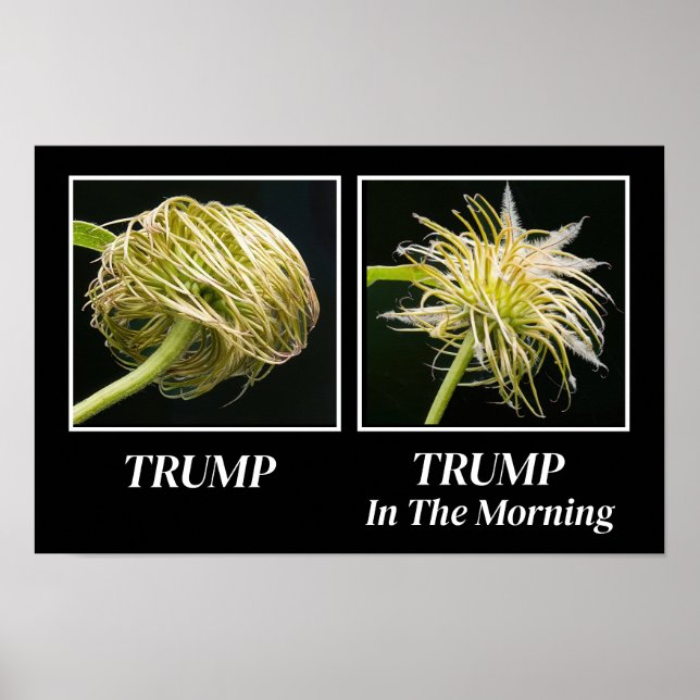 Trump Hair Poster (Front)