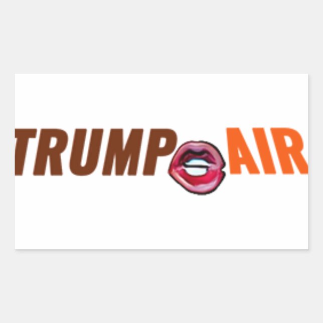 Trump Hot Air Cartoon Clear Rectangular Sticker (Front)