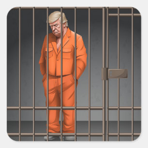 Trump in Jail Square Stickers 