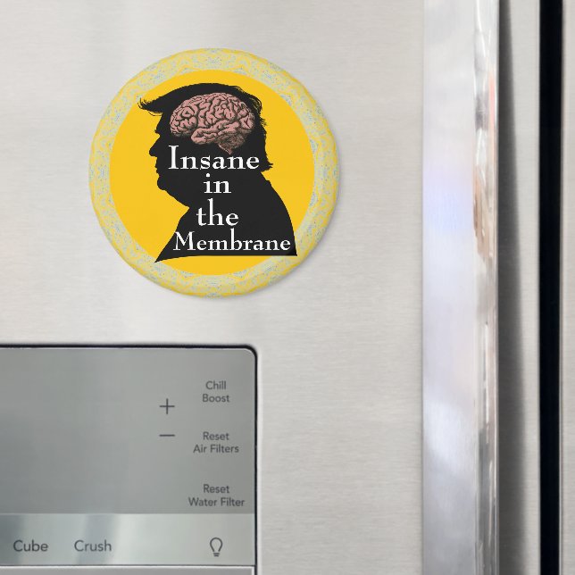 Trump/Insane Magnet (In Situ (Fridge))