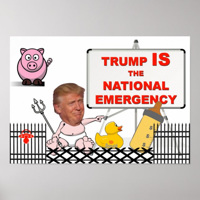 Trump IS the national emergency / Anti Trump, Poster (Front)