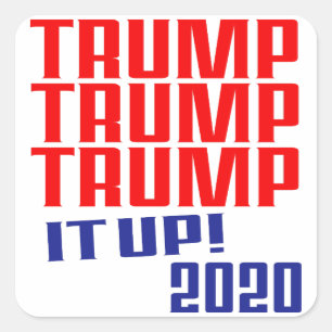 Trump it Up!  Trump 2020 - Stickers (Set of 20)
