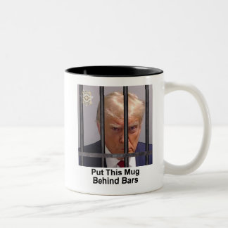 Trump Mug "Put This Mug Behind Bars"