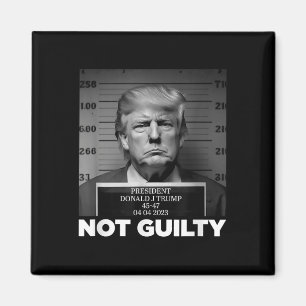 Trump Not Guilty Mug Shot Free Trump I Stand With  Magnet