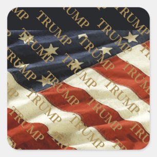 TRUMP SQUARE STICKER