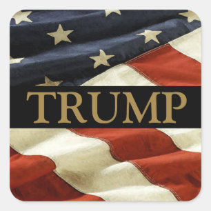 TRUMP SQUARE STICKER