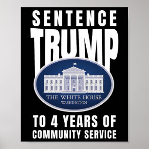 Trump To 4 Years Of Community Service 9  Poster