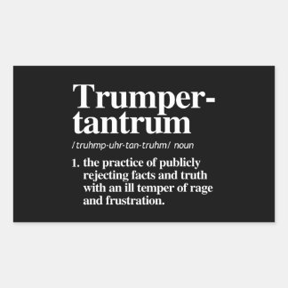 Trumper Tantrum Definition Rectangular Sticker