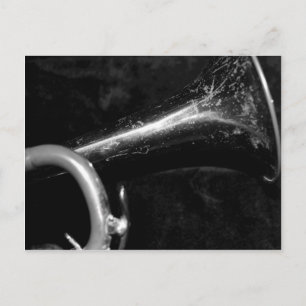 Trumpet Bell black and white Postcard