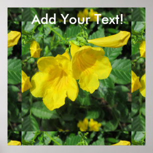 Trumpet Garden Flower Yellow Poster